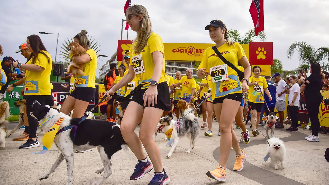 Cachorrida, evento voltado para tutores e seus cães será realizado em 27 de setembro, dentro da programação da 34ª Dez Milhas Garoto Agosto, 2025 – A relação en