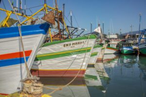 Agricultores, maricultores e pescadores de Ubatuba podem participar de evento da Amesp
