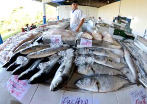Mercado de Peixe tem opções de pescado para Semana Santa