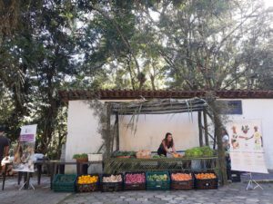 Orgânico Solidário faz a sua segunda entrega de alimentos frescos e orgânicos na Ilhabela.