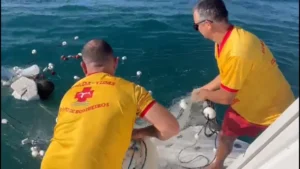 Busca por pescadores desaparecidos em Ubatuba entra no sétimo dia sem sucesso