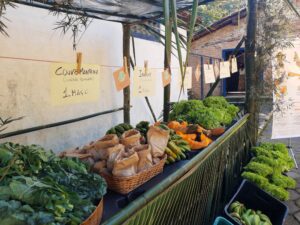 Orgânico Solidário lança um programa de segurança alimentar em Ilhabela e faz a sua segunda entrega para 50 familias no engenho da Toca.