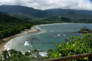  Justiça impede a extinção de área protegida em Ilhabela