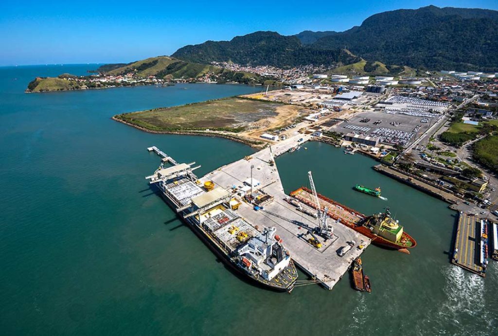 Área do Porto de São Sebastião é pouso seguro para aves ameaçadas de extinção