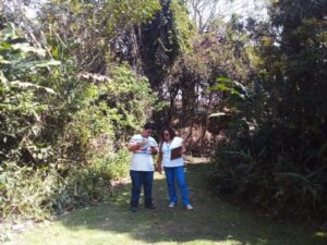 Prefeitura de São Sebastião registra 585 autos de obras irregulares em 2023