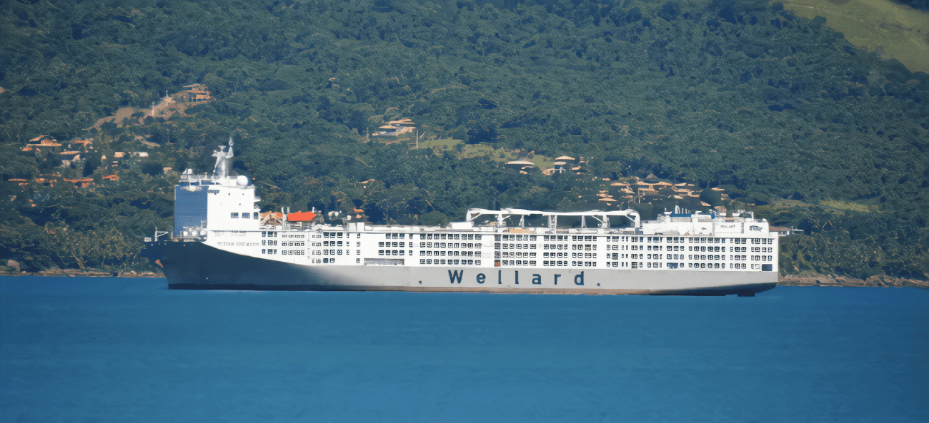 Câmara de São Sebastião irá realizar um seminário sobre o bem-estar animal e o transporte de carga viva no Porto de São Sebastião. O evento acontecerá na sexta-feira (27/10), às 17h