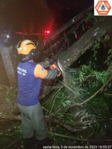 Ilhabela enfrenta ventania e queda de árvores sem maiores danos