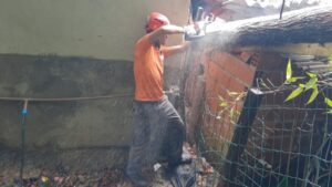 Defesa Civil atende ocorrência de queda de árvore sobre casa em Juquehy; chuva chega a 117,6 mm em 72 horas