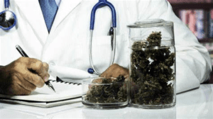 Governo de SP publicou nesta terça-feira (26) a regulamentação da lei que prevê o fornecimento de remédios à base de cannabis medicinal pelo Sistema Único de Saúde (SUS) em todo o Estado.