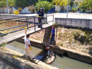 Menos de dois meses de sua inauguração, as ecobarreiras desenvolvidas pela equipe da Divisão Socioambiental do Meio Ambiente, e instaladas no córrego Mãe Isabel, na Topolândia, já evitaram que pelo menos 328kg de resíduos chegassem à Baía do Araçá.