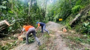 A Estrada de Castelhanos já foi desobstruída, mas ainda há pontos precários durante o trajeto.