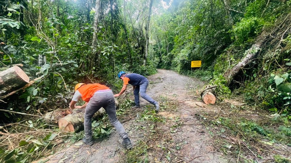 A Estrada de Castelhanos já foi desobstruída, mas ainda há pontos precários durante o trajeto.