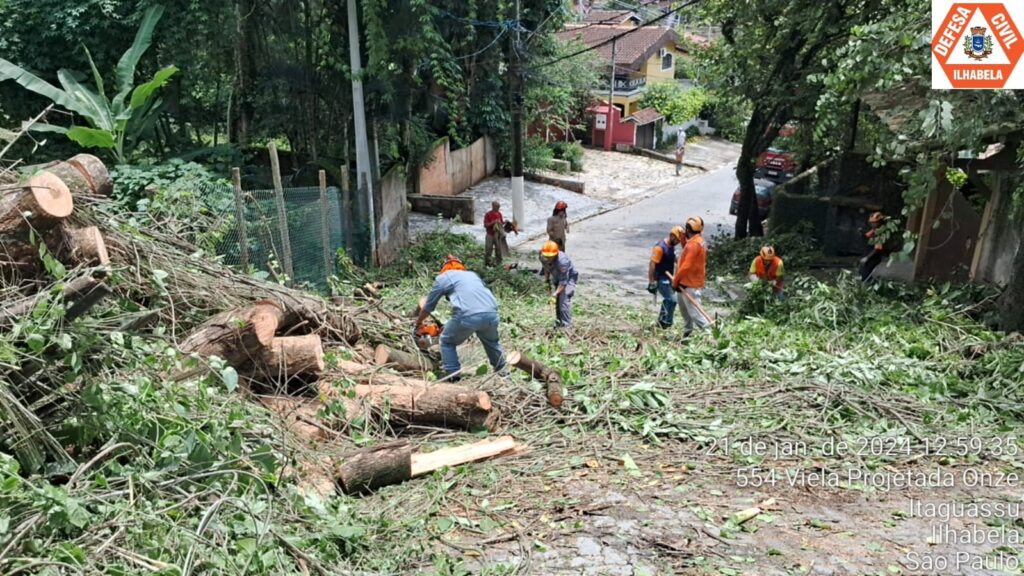 Árvore cai e causa apagão em rua de Ilhabela