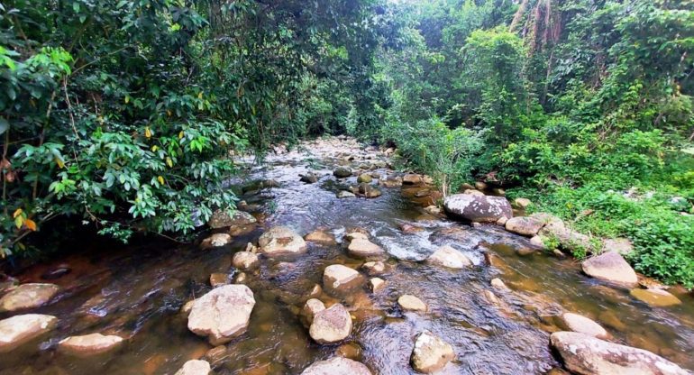 O aquecimento global é pauta permanente nos noticiários. Além da discussão sobre práticas que contribuem para o aumento da temperatura do planeta, o foco é como esses impactos influenciam diretamente o cotidiano das pessoas.