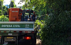 Defesa Civil de Ilhabela realiza podas preventivas para garantir segurança da população