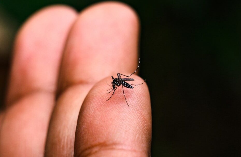 Governo de SP realiza antecipação de R$ 205 milhões para o combate à dengue