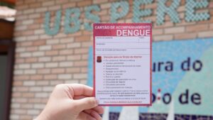 Uso de repelente e eliminação de criadouros são essenciais para o enfrentamento da dengue em Ilhabela