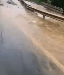 Desastre causado pela Chuva em Ubatuba e Caraguatatuba: Moradores Ilhados, Rodovias Interditadas e Abastecimento de Água Comprometido