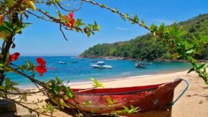 Resort em Ilhabela: Sombras de Irregularidades e Benefícios Obscuros