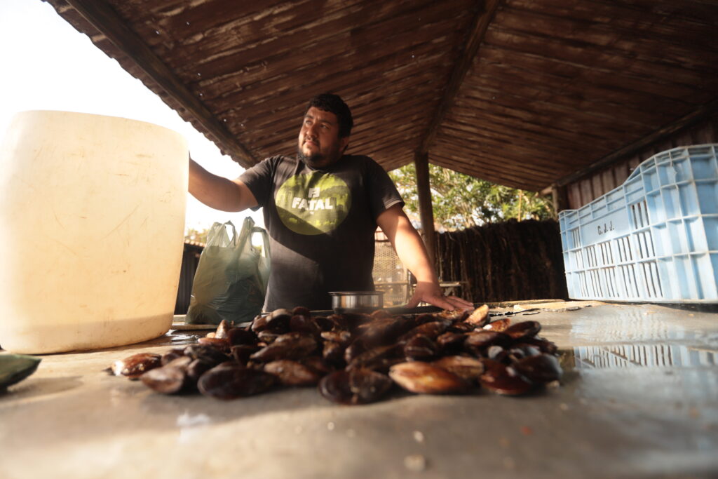 MAPEC BUSCA POR MEIO DE CONHECIMENTO E PARCERIAS PARA MANTER A CULTURA TRADICIONAL CAIÇARA.