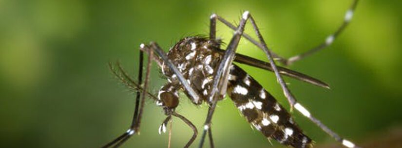 Prefeitura de Caraguatatuba publicou no Diário Oficial do Município, que declara situação de emergência em saúde pública no município devido à proliferação do mosquito transmissor da dengue, chikungunya e zika.