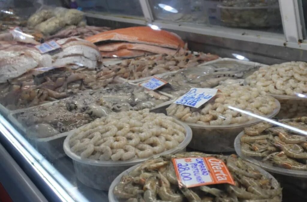 A Volta da Pesca de Camarão no Litoral Norte e o Mercado de Peixe Inoperante em Ilhabela