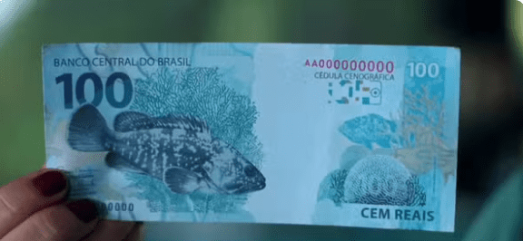 Laboratório em Ilhabela lidera esforços de repovoamento de garoupas e impulsiona a aquicultura no Brasil