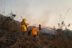 Defesa Civil de Ilhabela realiza treinamento para incêndios em períodos de estiagem