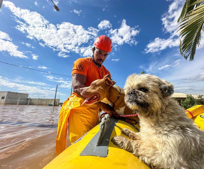 Defesa Civil de São Sebastião ajuda no atendimento de moradores feridos no Rio Grande do Sul