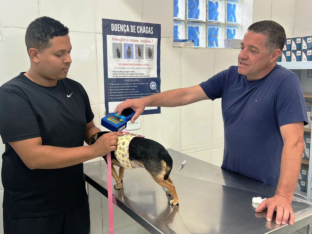 Prefeitura de Caraguatatuba abre agendamento para 300 vagas de castração de cães e gatos nesta sexta-feira
