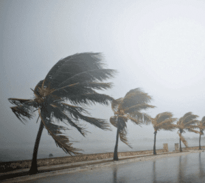 Alerta de ventos fortes e ondas altas no Litoral Norte de São Paulo. Fique atento às condições meteorológicas e evite atividades ao ar livre.