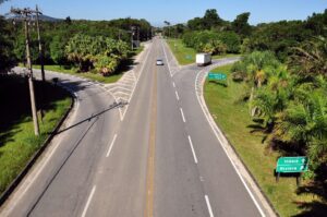 Rodovias estaduais de SP terão normas para reduzir atropelamentos de animais