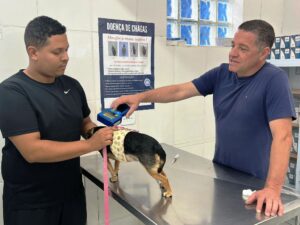 Caraguatatuba Abre 350 Vagas para Castração Gratuita de Cães e Gatos