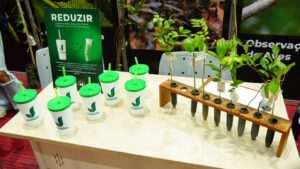 Conheça os projetos ambientais do Parque Natural Municipal Juqueriquerê no Empreenda Caraguatatuba. Aproveite para interagir com as ações da Secretaria de Meio Ambiente, Agricultura e Pesca.