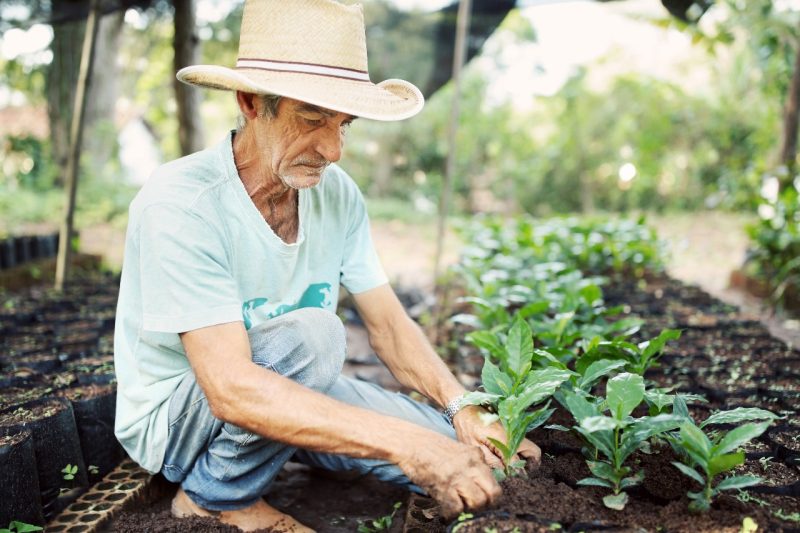 Fazenda Engenho D’Água Recebe Evento de Exportação Sustentável de Café para a França