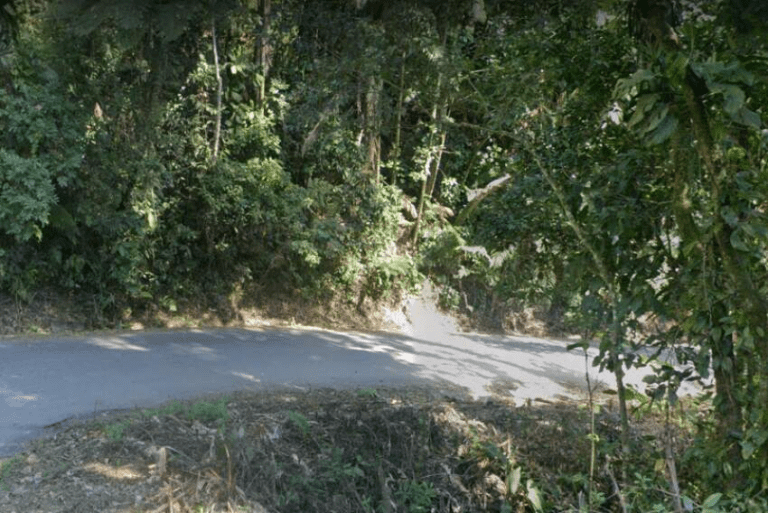 Estrada Monte Valério em Ubatuba Será Interditada para Manutenção