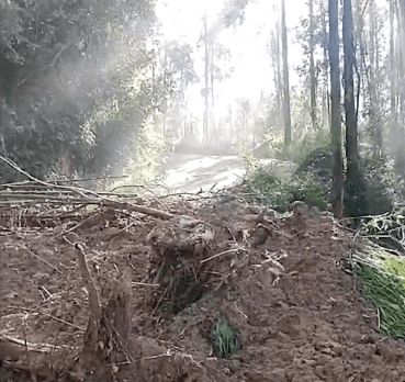 Deslizamento bloqueia via de acesso ao litoral norte e complica retorno de turistas. Estradas permanecerão fechadas até a remoção do material.