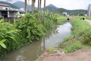 Ação conjunta em Caraguatatuba para investigar despejo irregular de esgoto em Massaguaçu. Saiba mais sobre as medidas tomadas.