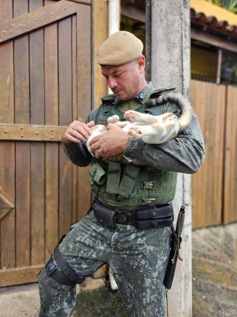 Operação Verão: Homem Agrede Gato em Ilhabela e Causa Sua Morte, Acusado de Maus-Tratos