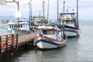 Pesca do camarão é retomada em São Sebastião com apoio da Prefeitura e da comunidade pesqueira