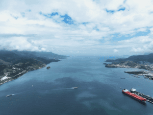 CBH-LN lança edital com R$ 7,8 milhões para projetos ambientais no Litoral Norte