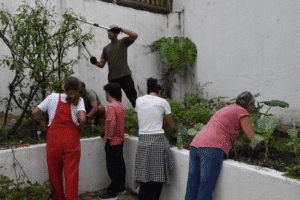 Alunos de jardinagem do IETEC finalizam curso com plantio simbólico e aprendizado prático em Ilhabela