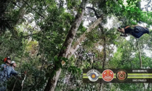 Resgate de piloto de asa delta mobiliza bombeiros em Caraguatatuba