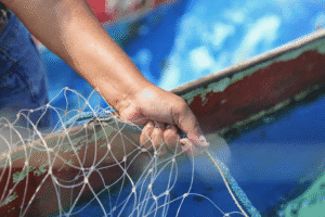 Pescadores artesanais de Ubatuba garantem uso sustentável da Ilha dos Pescadores
