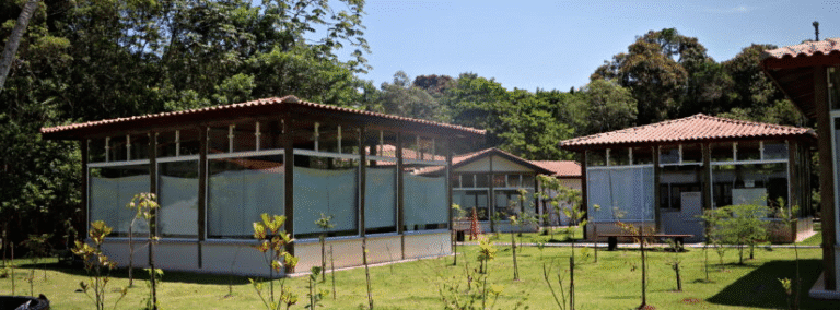 Conselho do Parque Juqueriquerê: inscrições para sociedade civil terminam nesta sexta (23)