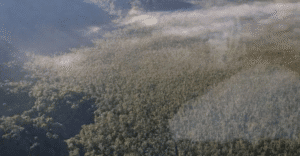 Cratera em Ubatuba pode ser vestígio de impacto de asteroide há 30 mil anos, dizem pesquisadores
