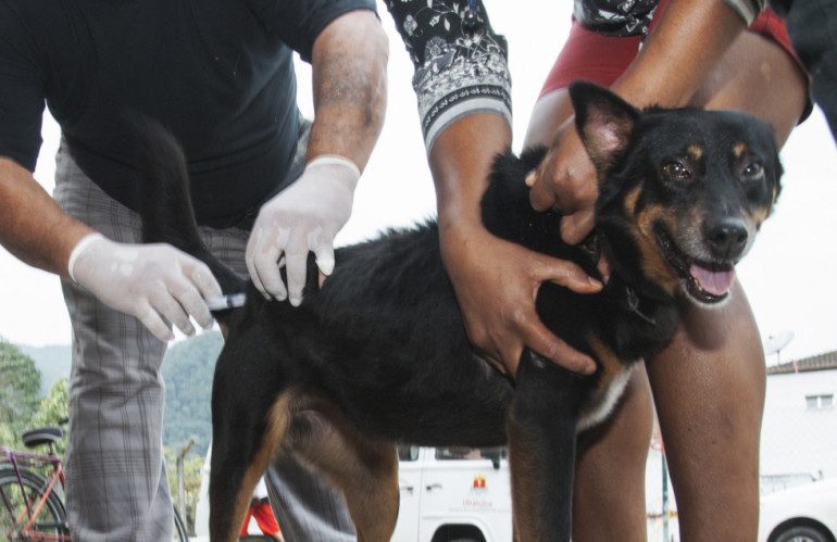 A Unidade de Vigilância de Zoonoses (UVZ) informa que o local da vacinação antirrábica descentralizada da próxima quarta-feira, 13, será o Quilombo da Fazenda.