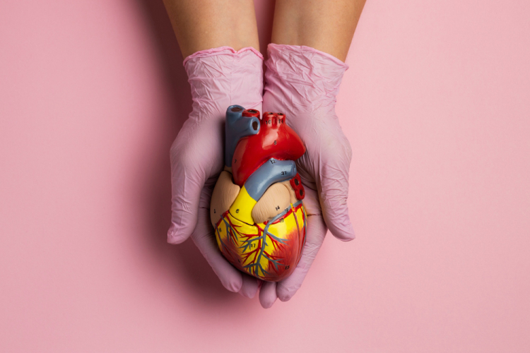 Com milhares de procedimentos realizados todos os anos no Brasil, a angioplastia coronária representa uma ferramenta fundamental para salvar vidas e devo