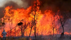 Ventos fortes dão lugar a calor e risco de queimadas em SP