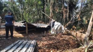 Uma ação conjunta de fiscalização ambiental realizada na sexta-feira (22) no bairro Sertão da Casanga, em Ubatuba, desmobilizou construções irregulares e identi